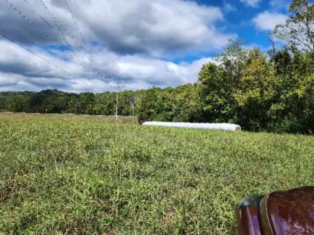 10.42ac State Highway 53, Gainesboro, TN 38562 - Image #2