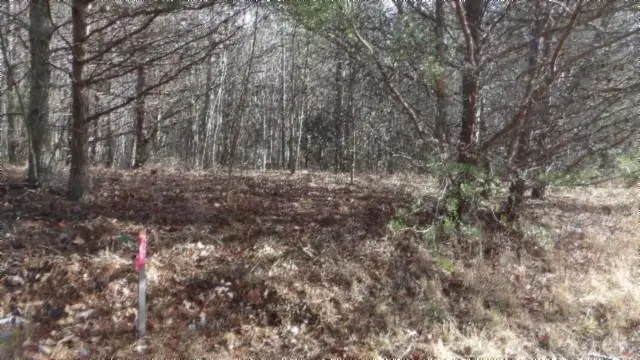 Lot 185 Meadow Lane, Spencer, TN 38585 - #1