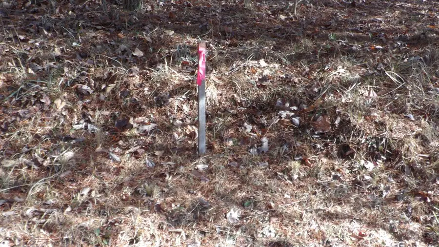 Lot 185 Meadow Lane, Spencer, TN 38585 - #2