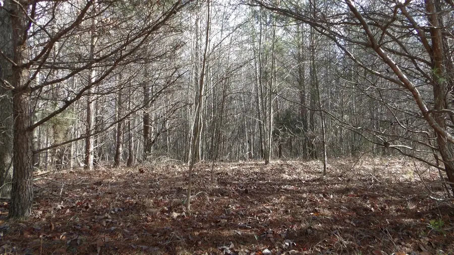 Lot 185 Meadow Lane, Spencer, TN 38585 - #3