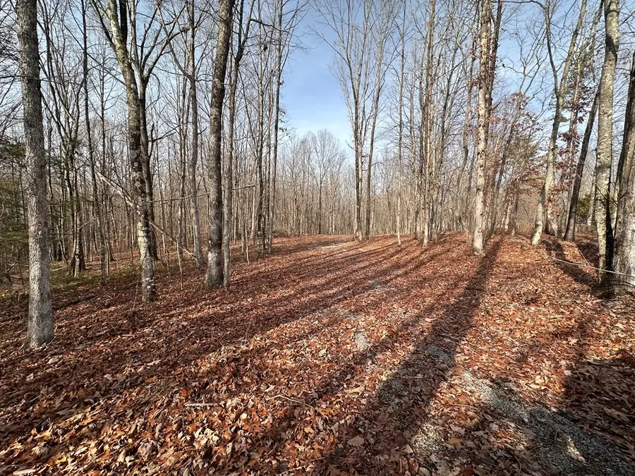 2.12 ac Bear Hollow Rd., Jamestown, TN 38556 - Image #3