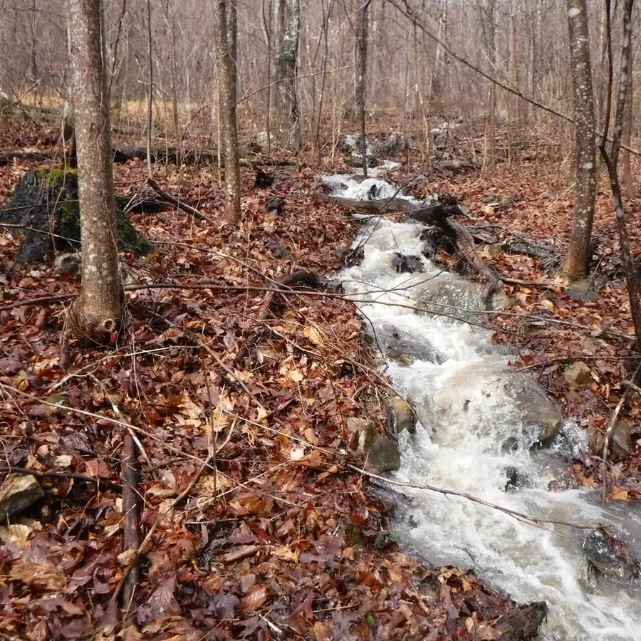 10.85ac Cheyenne Drive, Jamestown, TN 38556 - #2