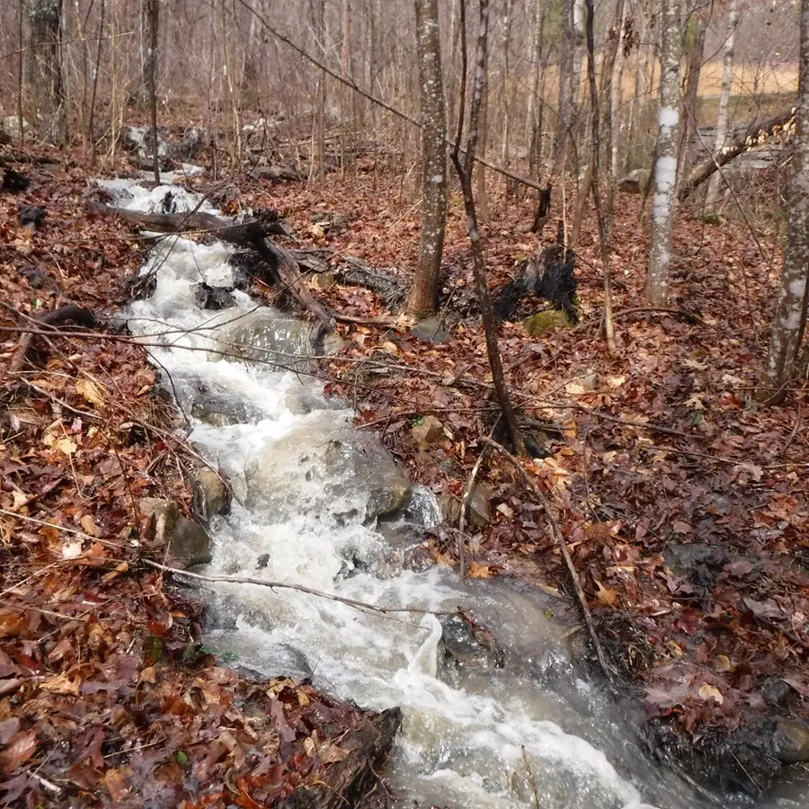 10.85ac Cheyenne Drive, Jamestown, TN 38556 - #3