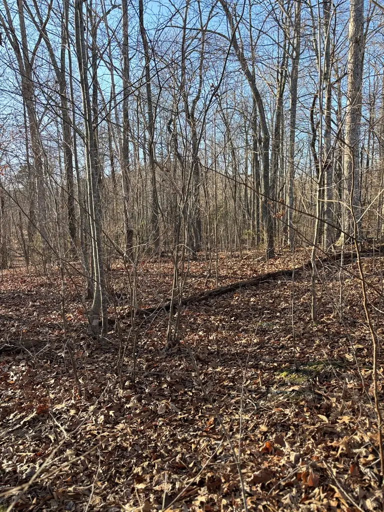 0 Lloyd Stover Rd, Allons, TN 38541 - Image #2