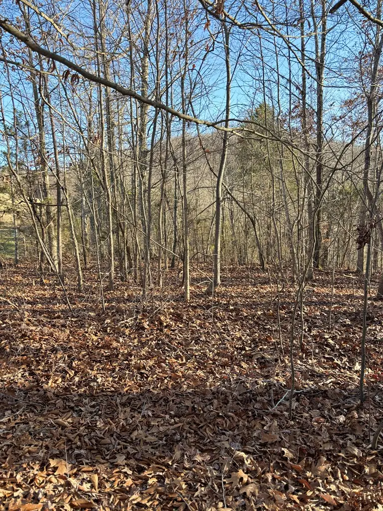 0 Lloyd Stover Rd, Allons, TN 38541 - Image #3