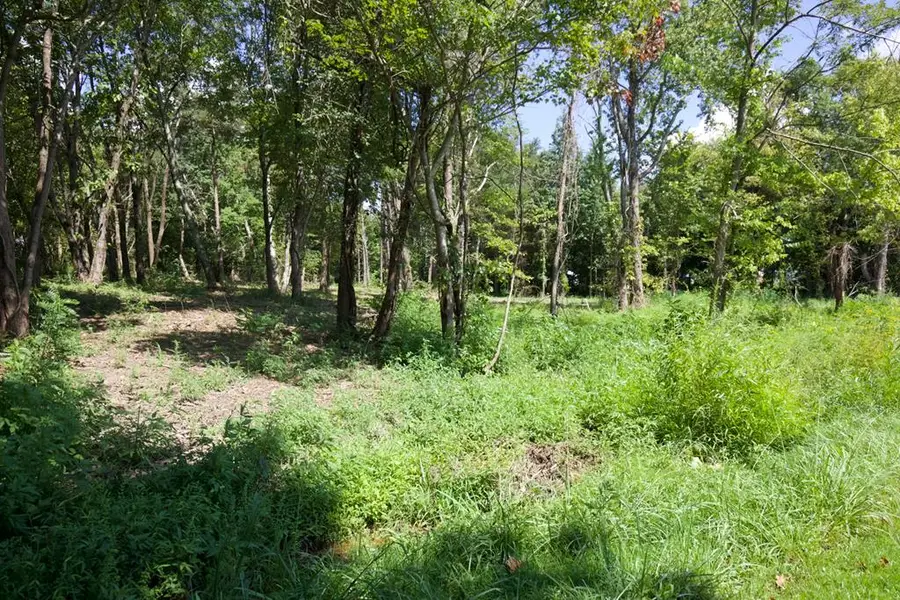 204 Vandy Circle, Sparta, TN 38583 - #2