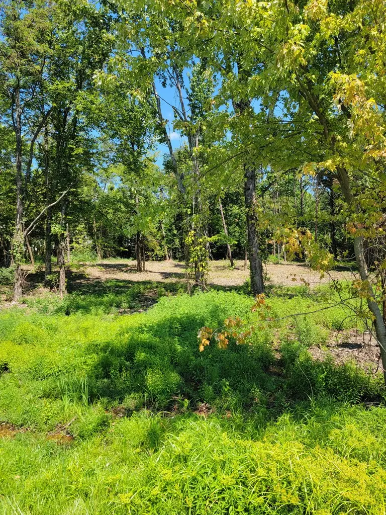 204 Vandy Circle, Sparta, TN 38583 - #3