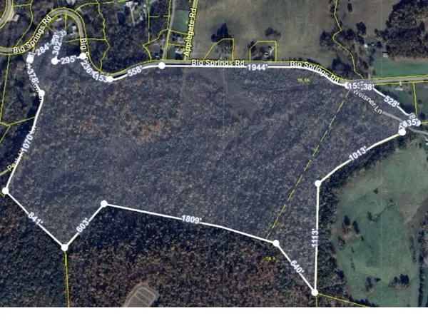 00 Big Spring Farm - Lot 9, LIVINGSTON, TN 38570