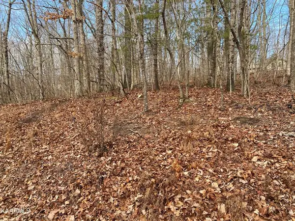 116 Overlook Cove, CROSSVILLE, TN 38558