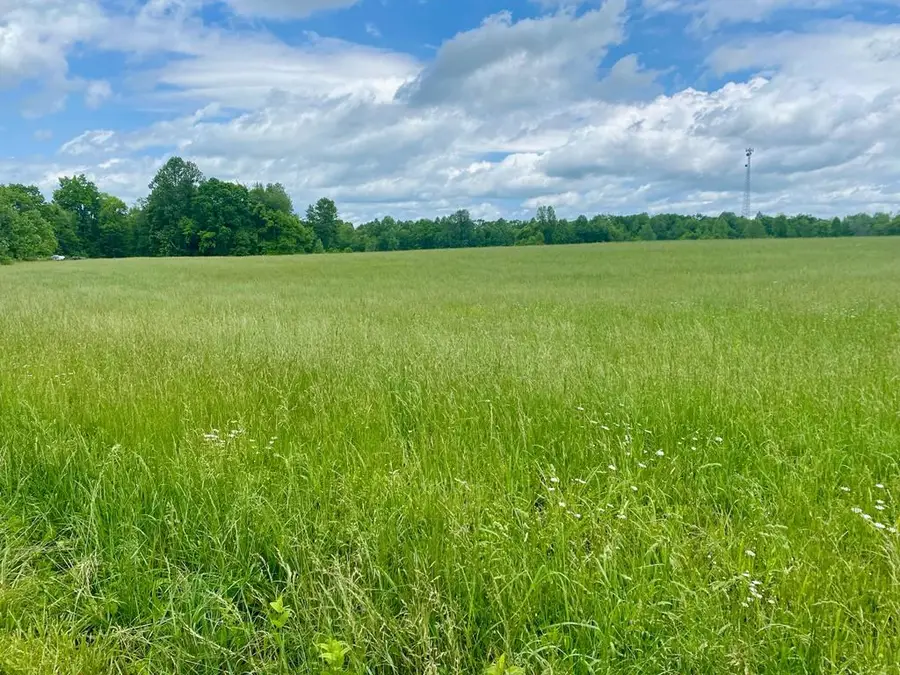 0 Old Martha Washington Road, Clarkrange, TN 38553 - #2