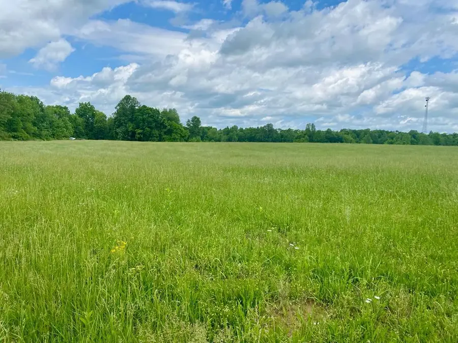 0 Old Martha Washington Road, Clarkrange, TN 38553 - #3