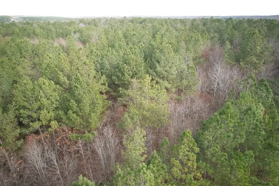 0 Greenfield Rd, Spencer, TN 38585 - #2