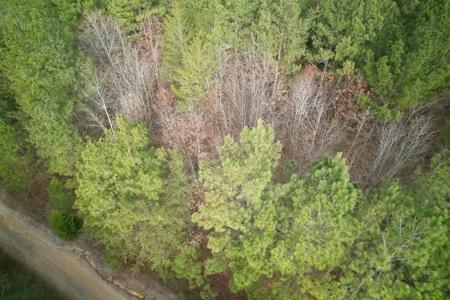 0 Greenfield Rd, Spencer, TN 38585 - #3