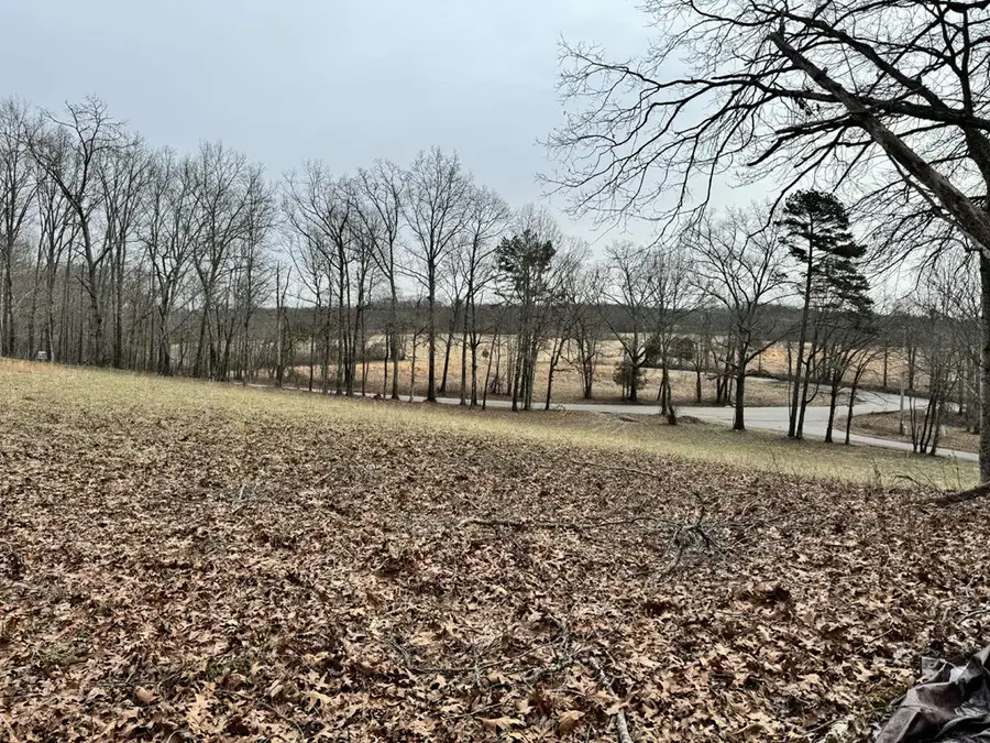 41 Smith Mountain, Rockwood, TN 37854 - Image #3