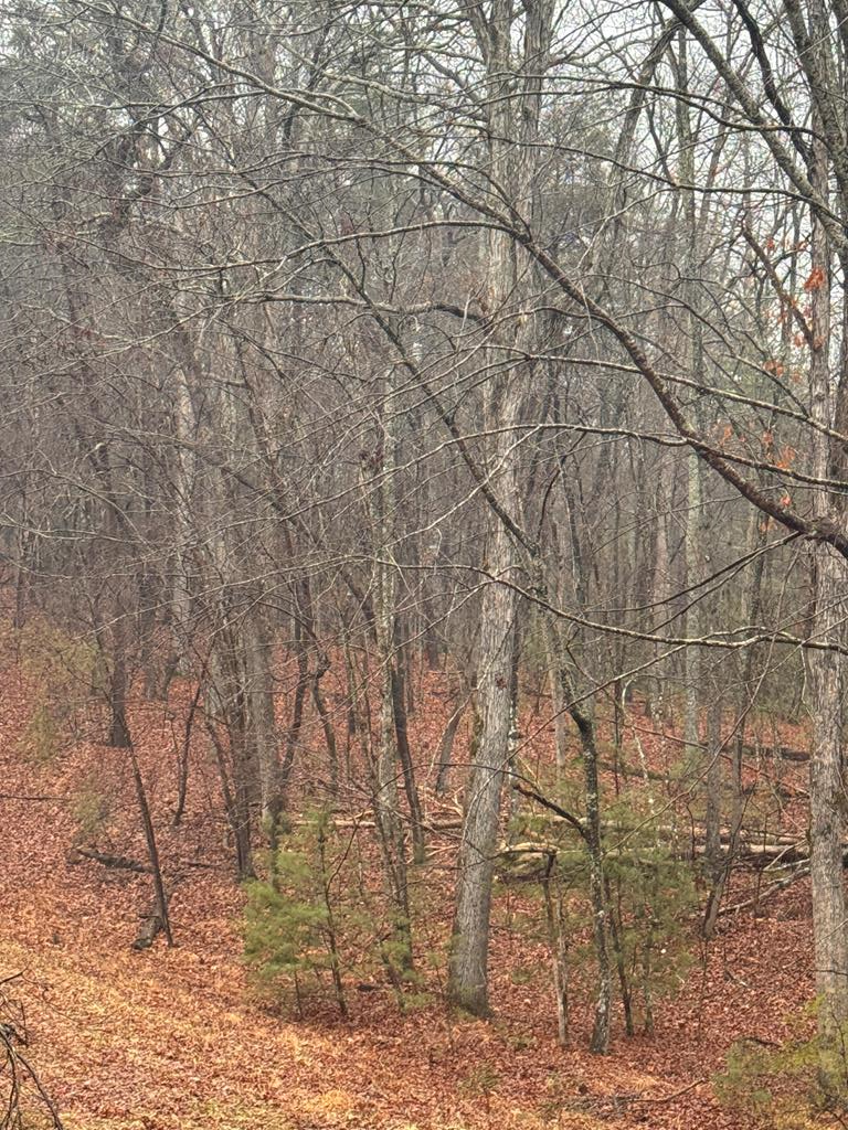 18 Bacham, Crossville, TN 385558 - Image #1