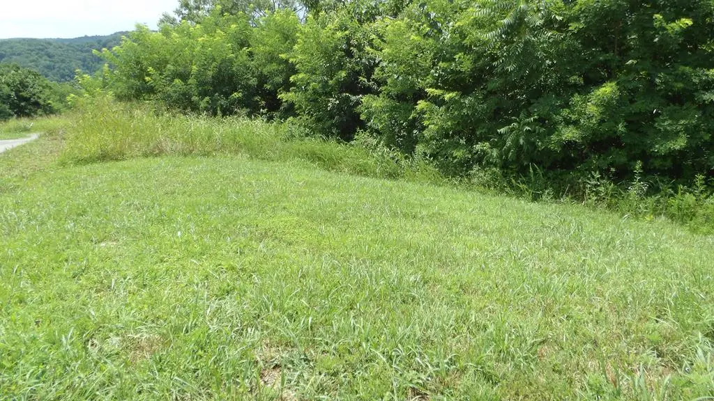 Lot 17D Crappie Lane, Hilham, TN 38562 - #1