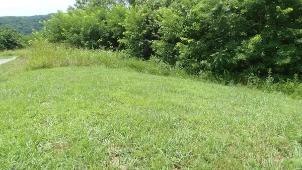 Lot 17D Crappie Lane, Hilham, TN 38562