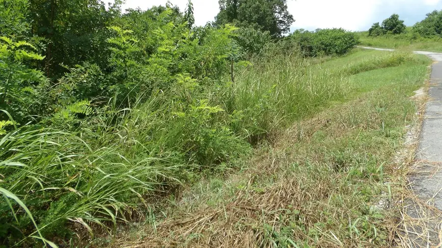 Lot 17D Crappie Lane, Hilham, TN 38562 - #2