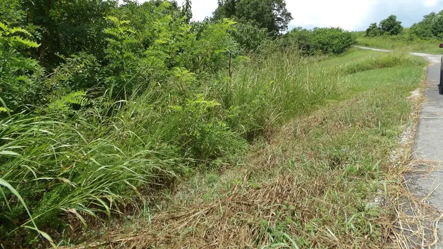 Lot 17D Crappie Lane, Hilham, TN 38562 - #3