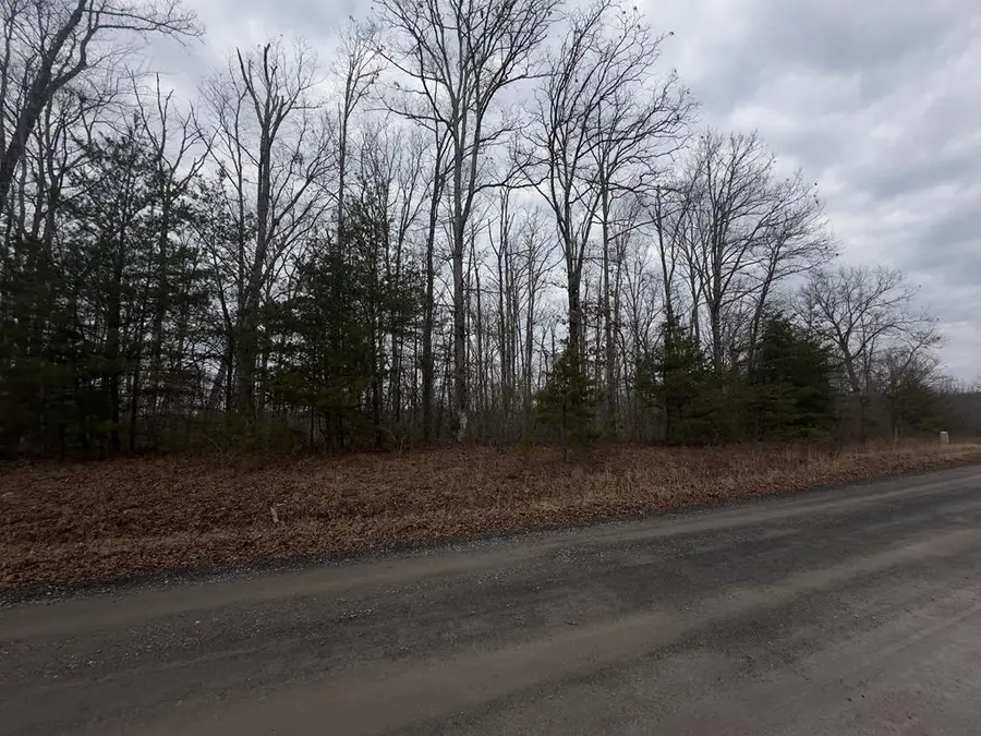 Tract16R Stockton Bluffs Ln, Jamestown, TN 38556 - #2