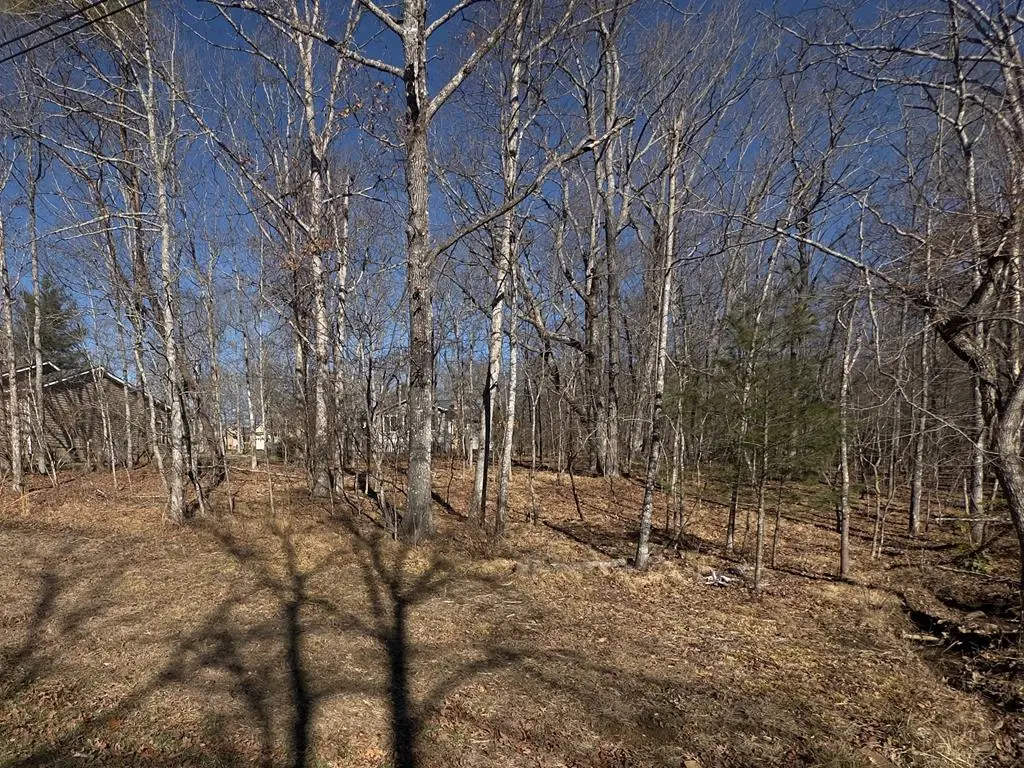 106 Hilton Ln, Crossville, TN 38558 - #1