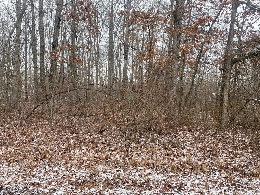 343 Blue Bird Drive, Crossville, TN 38571 - Image #2