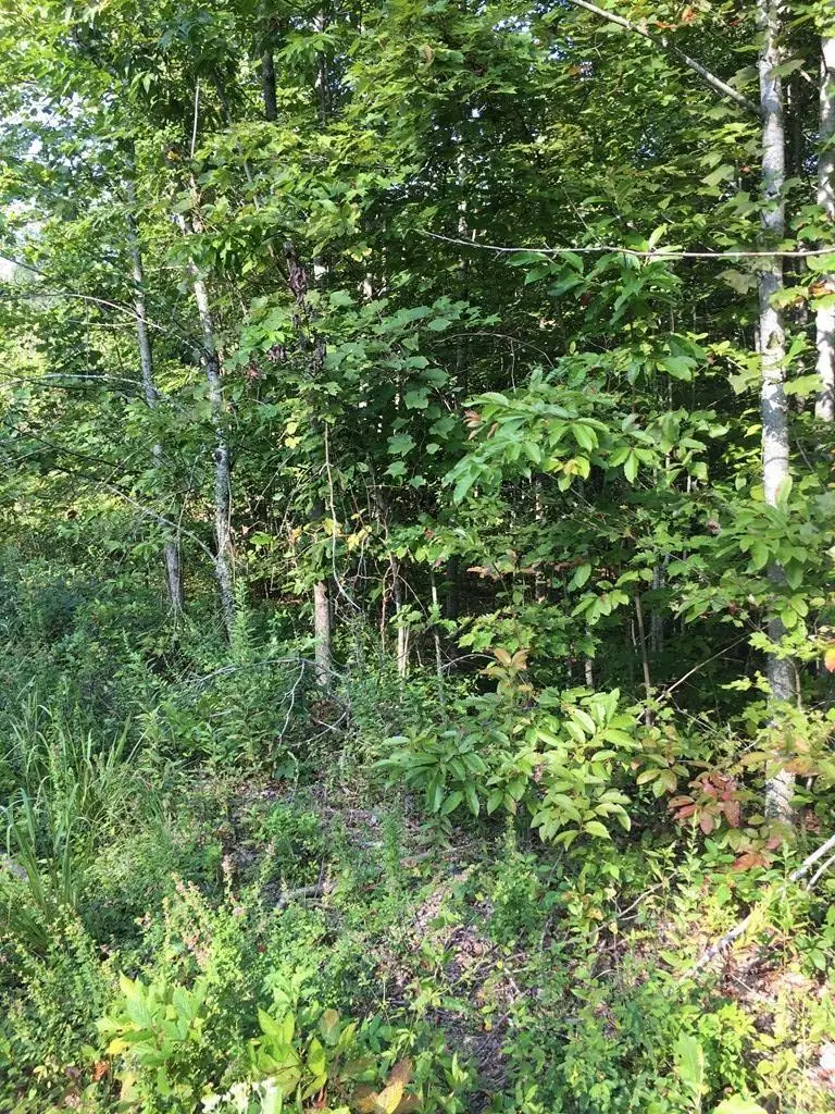 Lot 76 Parkstown Road, Wilder, TN 38589 - #1