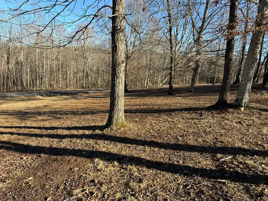 Lot 3 Penny Lane, Albany, KY 42602 - #2