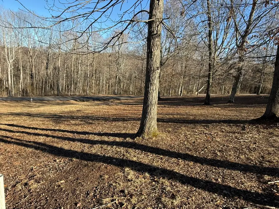 Lot 3 Penny Lane, Albany, KY 42602 - #3