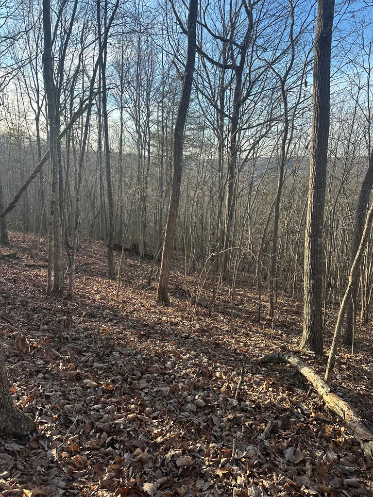 Lot 278 Purple Iris, Wilder, TN 38589 - #1