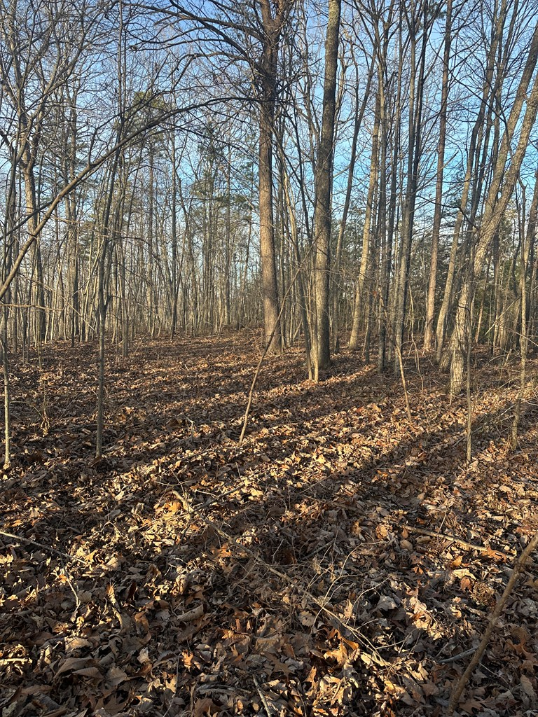 Lot 278 Purple Iris, Wilder, TN 38589 - #2