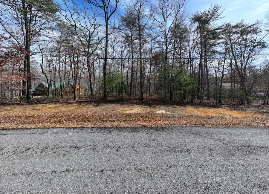 Lot 6 Forest View Dr, Spencer, TN 38585 - #3