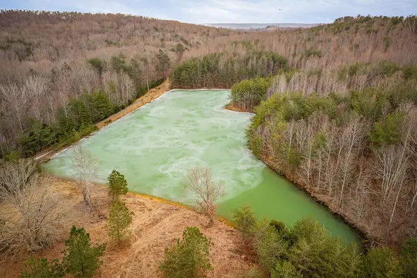 214 Edmonds Rd, Spencer, TN 38585