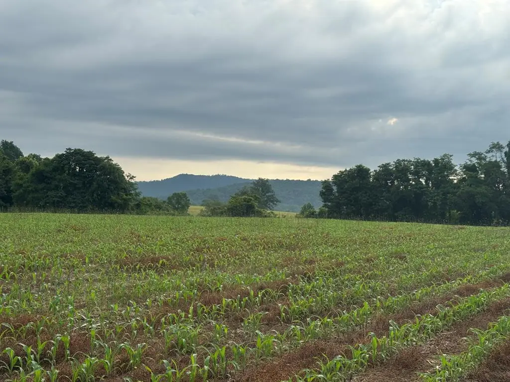 27.4 ACS N Hwy 111, Byrdstown, TN 38549 - #1