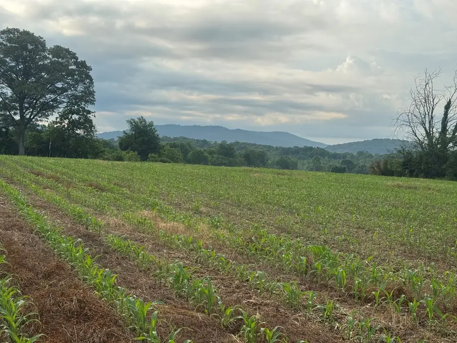 27.4 ACS N Hwy 111, Byrdstown, TN 38549 - #2