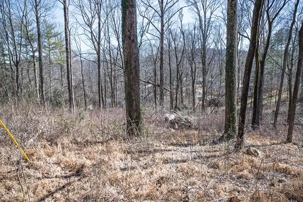 Lot 53 Lake Valley Dr., COOKEVILLE, TN 38506