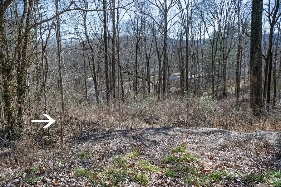 Lot 54 Lake Valley Dr., Cookeville, TN 38506 - #2