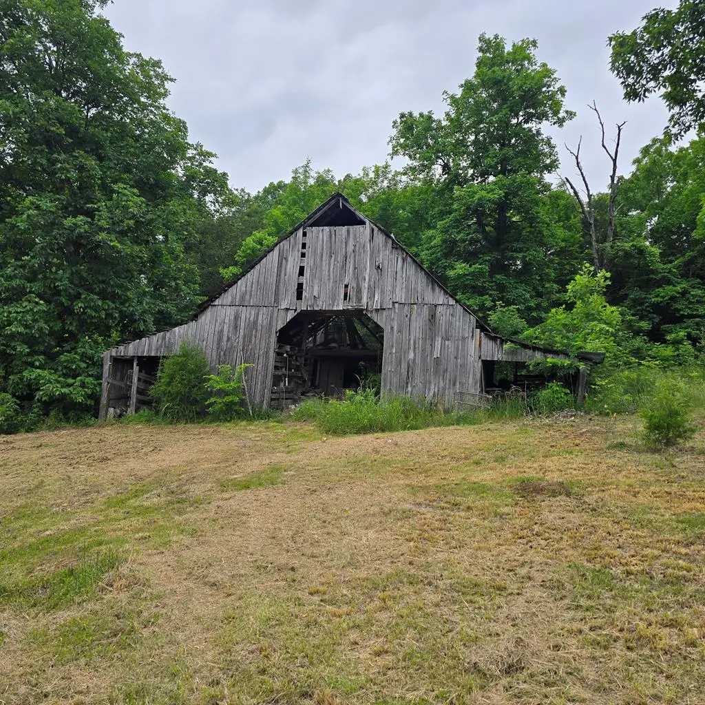 163 Church Lane, Livingston, TN 38570 - #1