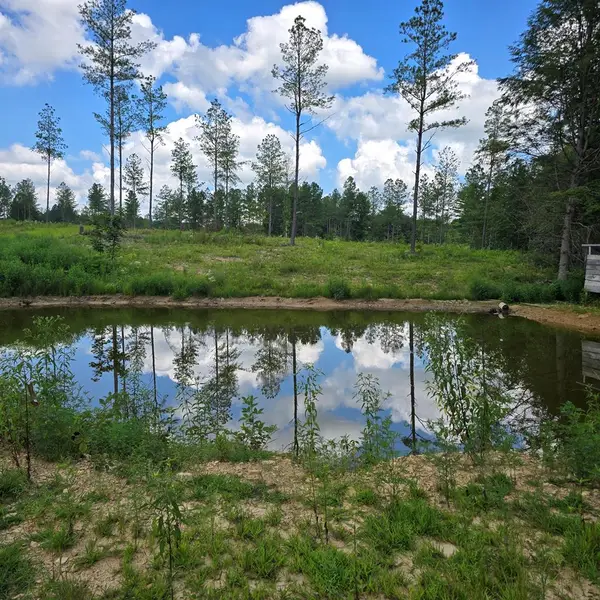 Tract 8 Boone Lane, Sunbright, TN 37872