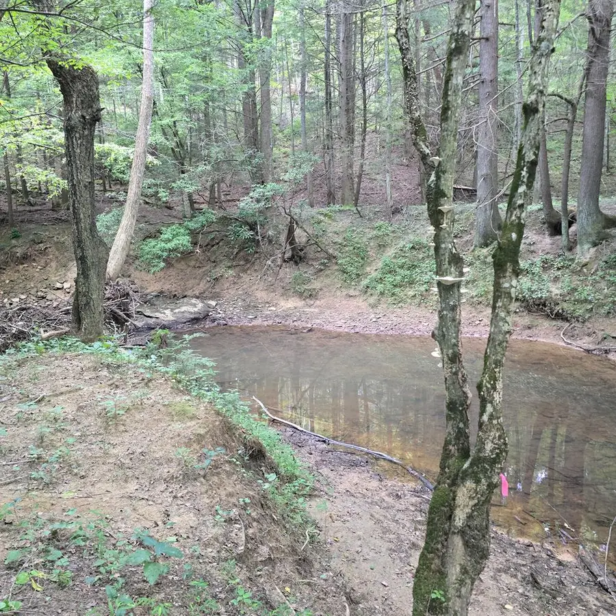 Tract 8 Boone Lane, Sunbright, TN 37872 - #3