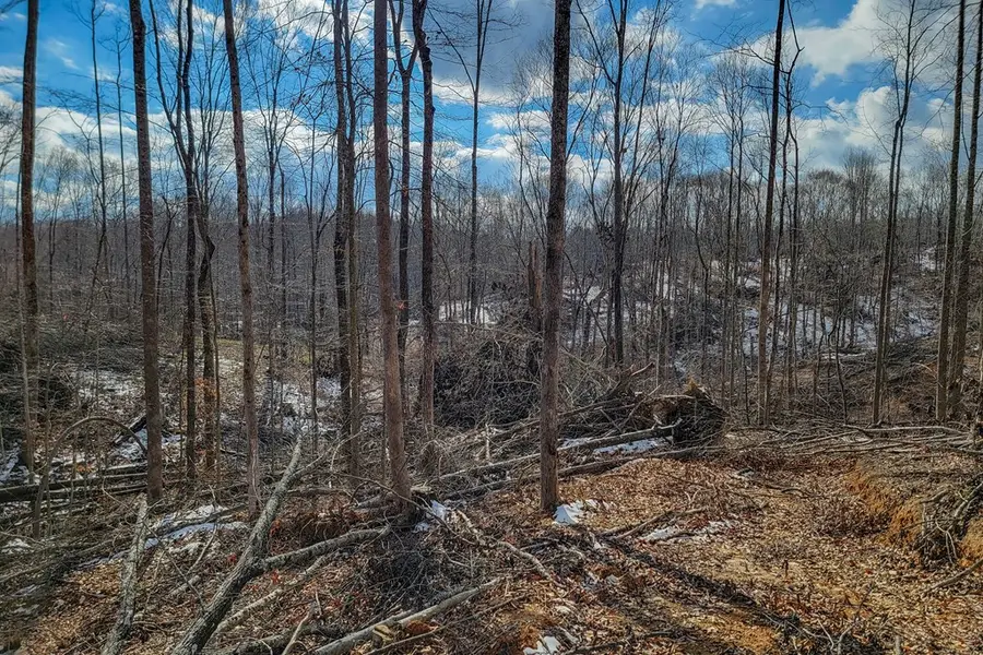 5.33 AC Hutchins Bend Rd, Sparta, TN 38583 - #2