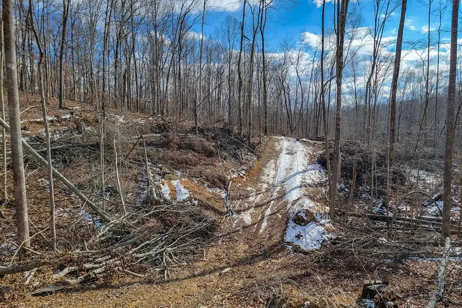 5.33 AC Hutchins Bend Rd, Sparta, TN 38583 - #3