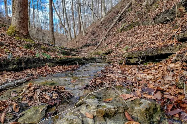 6.24 AC Hutchins Bend Rd, SPARTA, TN 38583