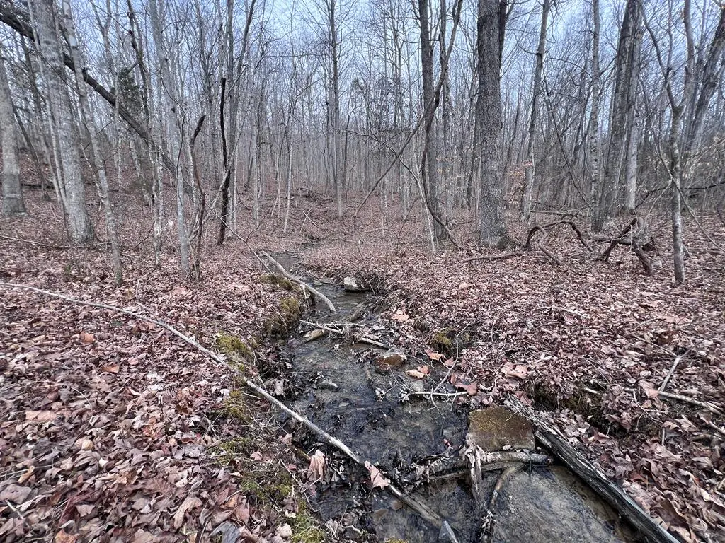 Lot 55 Buffalo Cove Ln, Jamestown, TN 38556 - #1