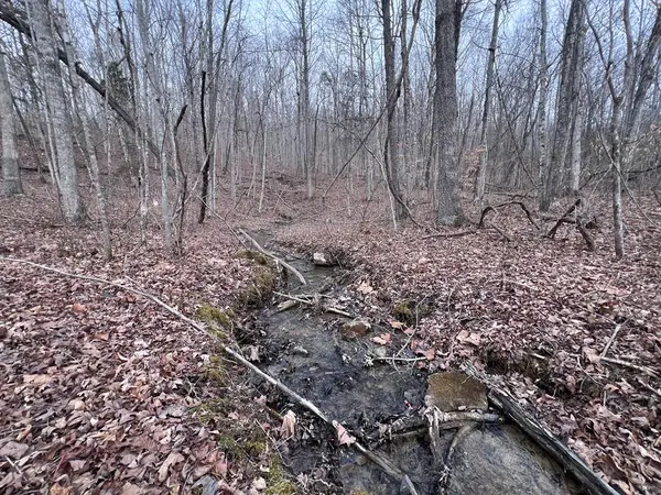 Lot 55 Buffalo Cove Ln, Jamestown, TN 38556