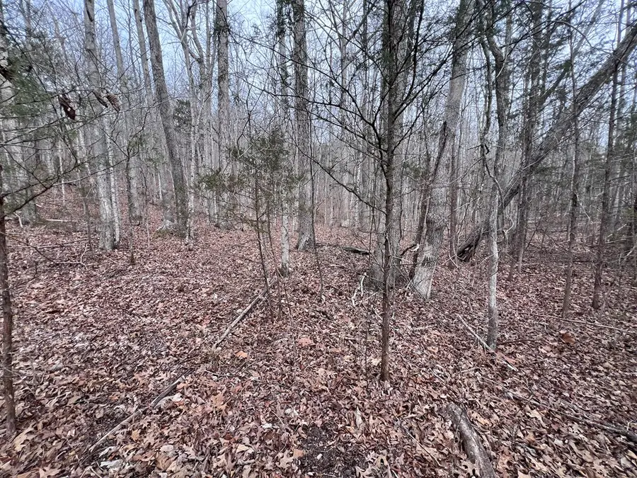 Lot 55 Buffalo Cove Ln, Jamestown, TN 38556 - #3