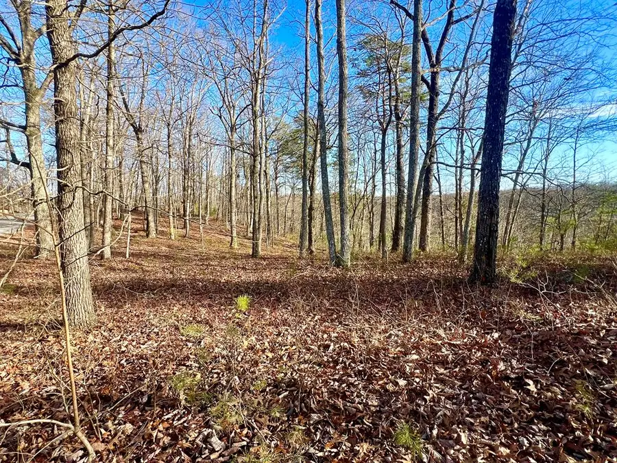 Lot 28 Star Point Rd, Jamestown, TN 38556 - #3