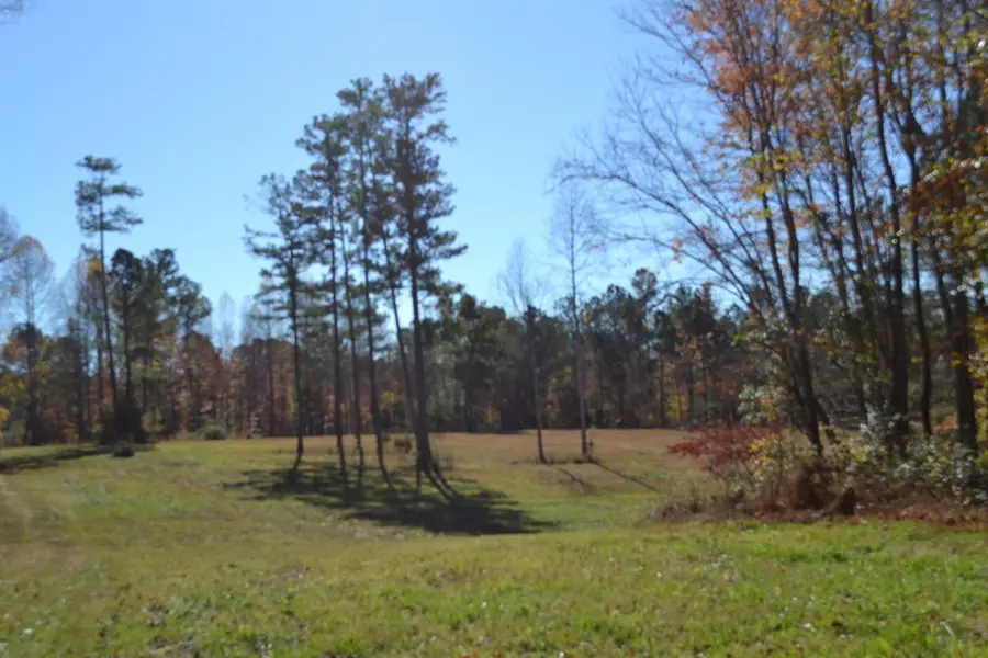 28.30ac Whitson Hollow Rd, Red Boiling Springs, TN 37150 - #2