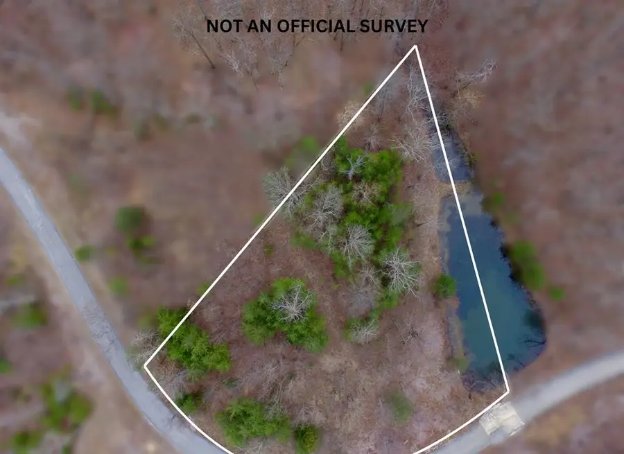 1004 Overlook Dr, Spencer, TN 38585 - #3