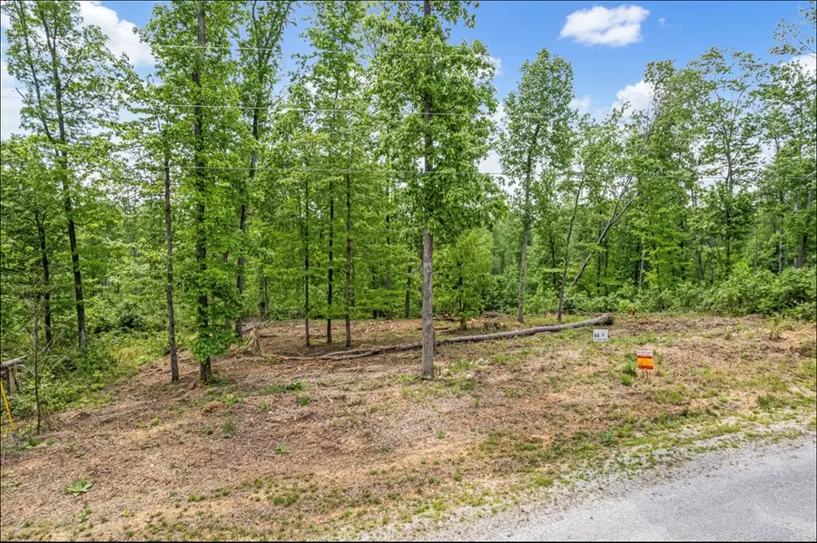 0 Water Ridge Rd Lot 64, Sparta, TN 38583 - #3